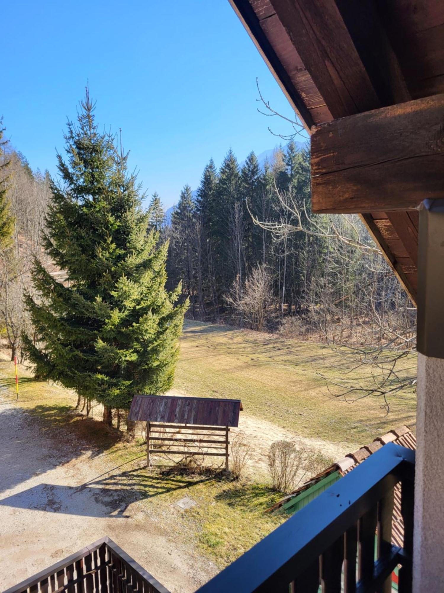Apartment Dobnikar Kranjska Gora Exterior foto